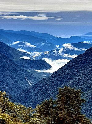 A natural view of West Sikkim, photo taken from hilltop