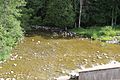 Ahnapee River below Forestville Dam