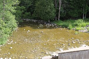 Ahnapee River below Forestville Dam