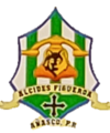 Alcides Figueroa Bilingual School Logo