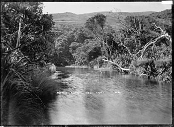 Anawhata River and native bush (20878902734).jpg