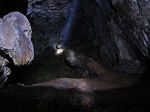 Ash Hole Cavern, looking towards the natural entrance