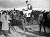 Assault, Eddie Arcaro up, 1946 Westchester Handicap.jpg