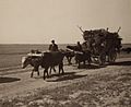 Assyrian refugees on wagon