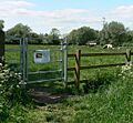 Aylestone Meadows Local Nature Reserve - the Spearwort Fields - geograph.org.uk - 441764