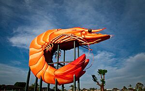 Ballina BigPrawn2