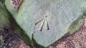 Benchmark on rock near Llyn Crafnant