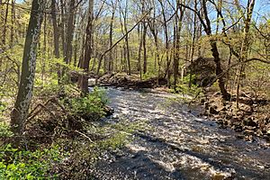 Black River, Morris County, NJ - April 2019.jpg