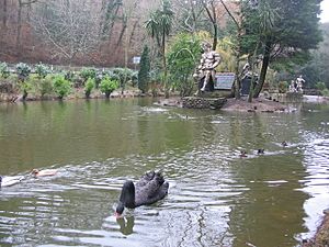 Black swan and statues - geograph.org.uk - 143714
