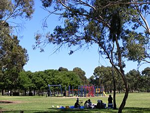 Bonython Park picnic - Adelaide.jpg