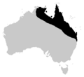 Bufo marinus australian range