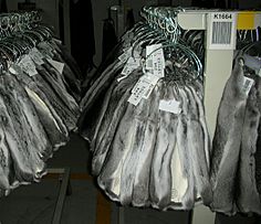 Chinchilla pelts at Copenhagen Fur (1)