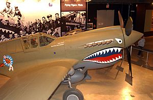 Curtiss P-40E Warhawk USAF