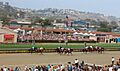 Del Mar Racetrack, July 2008