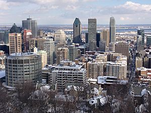 Downtown Montreal view