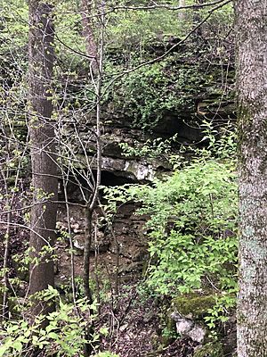 Elbow Cave in Columbia, Missouri (Spring 2020).jpg