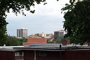 Fayetteville skyline from Old Main lawn