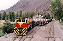 Ferrocarriles Argentinos - Carguero en Ingeniero Maury
