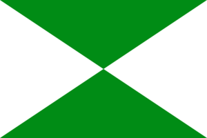 Flag of Saladoblanco (Huila)