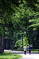 Fort ancient main trail 2006