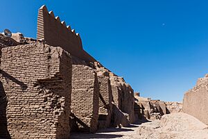 Fortaleza de Bam, Irán, 2016-09-23, DD 02