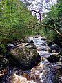 Glenmacnass River Wicklow Way