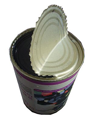 HK Food Grass Jelly Canned with Tinplate a