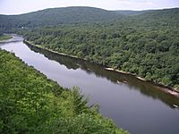 Hawk's Nest view of DelawareR