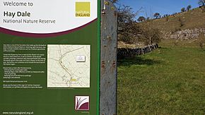 Hay Dale Nature Reserve Sign