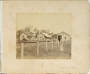Hendon Railway Station, Queensland. circa 1877