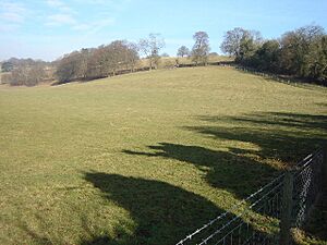 Holybourne Down - geograph.org.uk - 117586