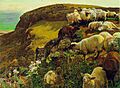 Hunt english coasts