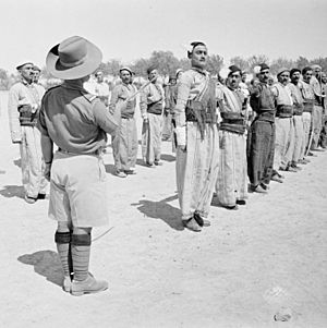 Iraq Levies in Training at Habbaniya E11584