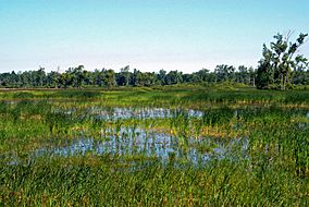 Iroquois National Wildlife Refuge, New York. Credit- USFWS (11738370896).jpg