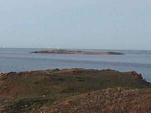 Jarman Island from Reader Head