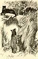 KiplingIllustrationofBagheera