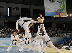Korea Taekwondo Hanmadang 70