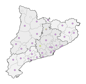 Majoria municipals 1931