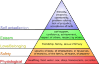 Hierarchy Facts for Kids