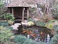 Massee Lane Gardens fish pond