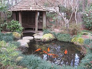 Massee Lane Gardens fish pond