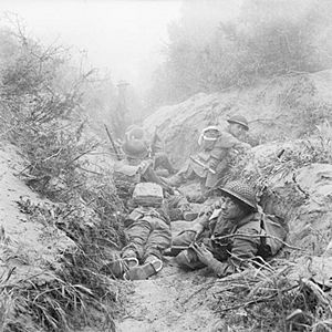 Men of the 7th Cheshire Regiment, 5th Infantry Division's machine gun battalion, in a captured German communications trench during the offensive at Anzio, Italy, 22 May 1944. NA15298