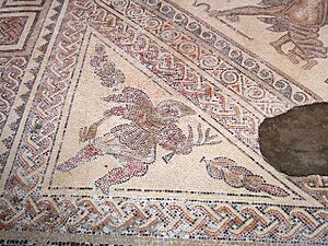 Mosaic floor, Chedworth - geograph.org.uk - 154259