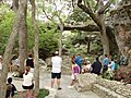 NaturalBridgeCaverns1