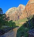 North Face of Angels Landing, Zion NP 5-14 (15169140456)