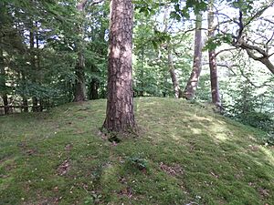 Ochiltree Castle, East Ayrshire, Scotland - the motte summit