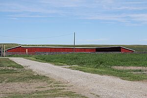 Percheron Foaling Barn Bar U Ranch ID 9835