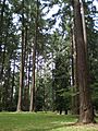 Pier Park, Portland, Oregon