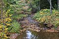 Rattling Run looking downstream
