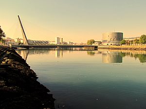 Reflejos, Ponte dos Tirantes